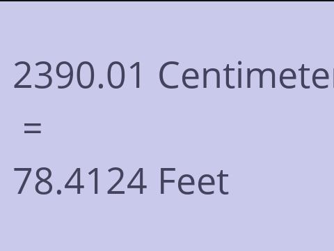 2390.01 CM TO FEET