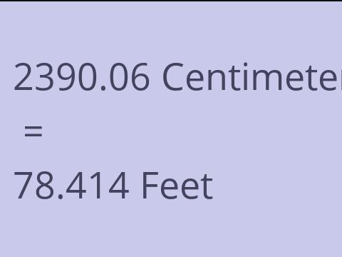 2390.06 CM TO FEET