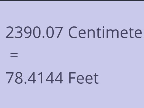 2390.07 CM TO FEET