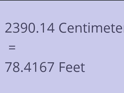 2390.14 CM TO FEET