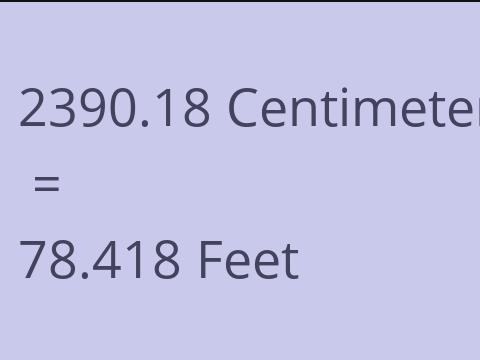 2390.18 CM TO FEET