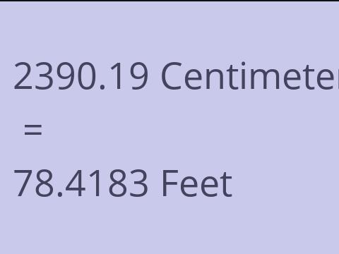 2390.19 CM TO FEET