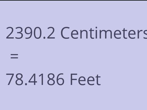 2390.2 CM TO FEET