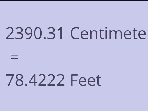 2390.31 CM TO FEET