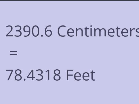 2390.6 CM TO FEET