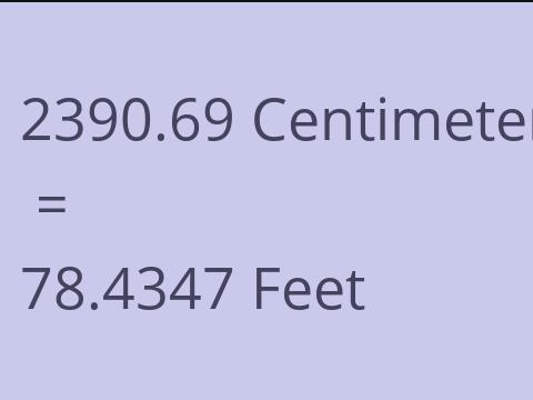 2390.69 CM TO FEET