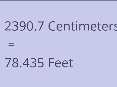 2390.7 CM TO FEET