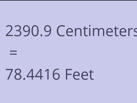 2390.9 CM TO FEET