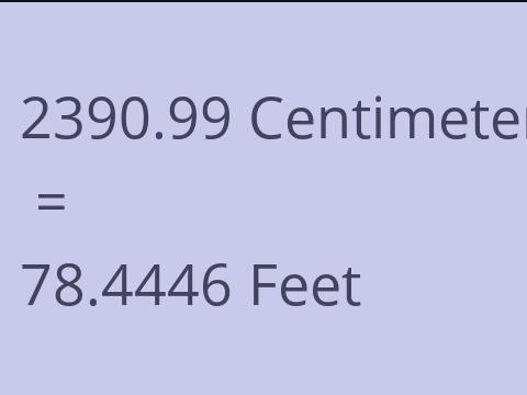 2390.99 CM TO FEET