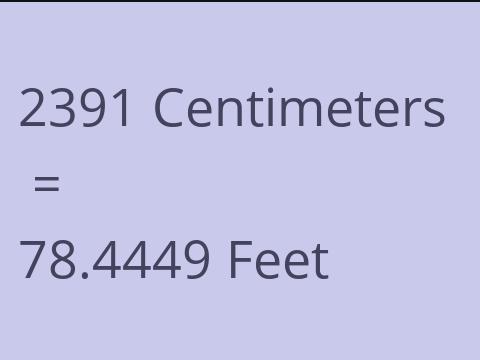 2391 CM TO FEET