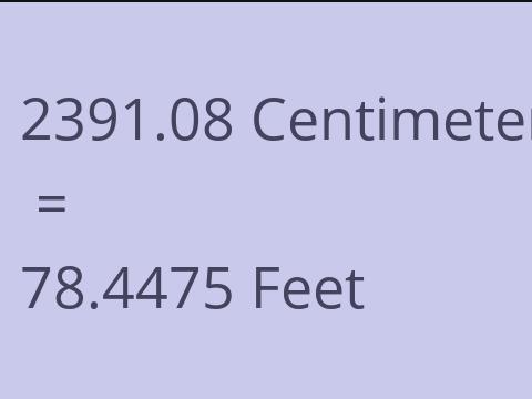2391.08 CM TO FEET