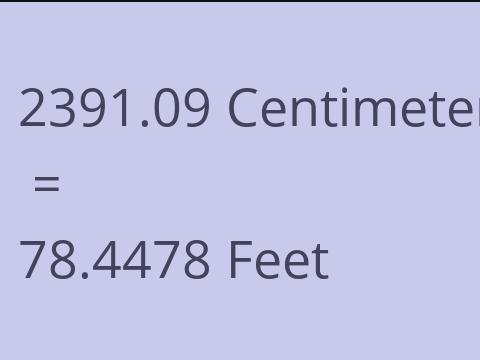 2391.09 CM TO FEET