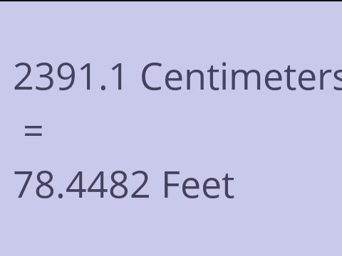 2391.1 CM TO FEET