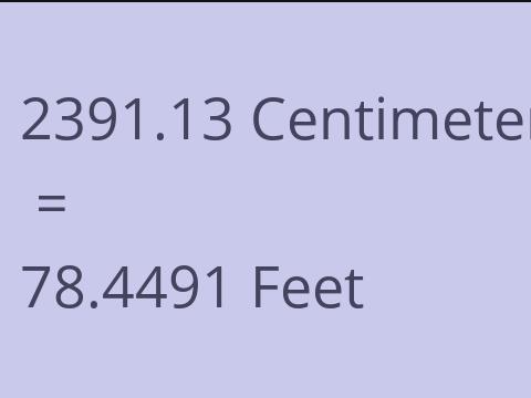 2391.13 CM TO FEET