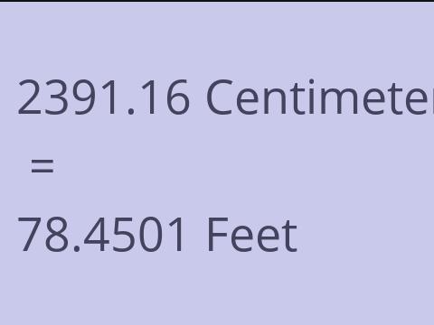 2391.16 CM TO FEET