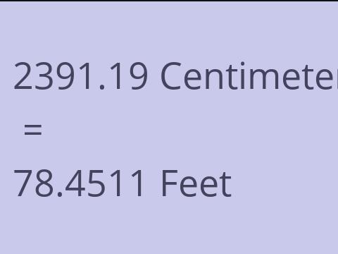 2391.19 CM TO FEET