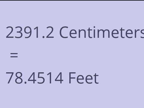 2391.2 CM TO FEET