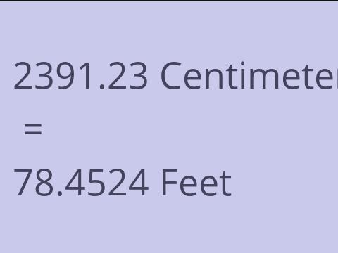 2391.23 CM TO FEET