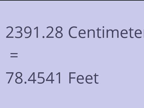 2391.28 CM TO FEET