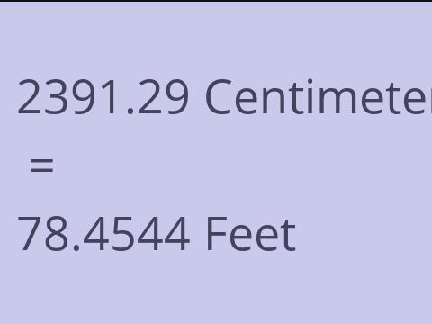 2391.29 CM TO FEET