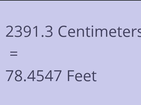 2391.3 CM TO FEET