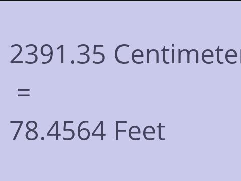 2391.35 CM TO FEET