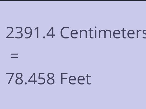 2391.4 CM TO FEET