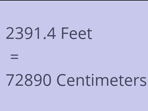 2391.4 FEET TO CM