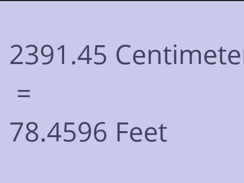 2391.45 CM TO FEET
