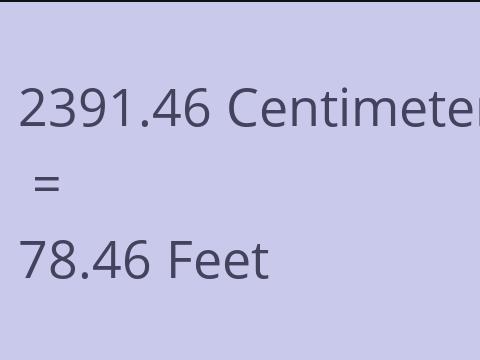 2391.46 CM TO FEET