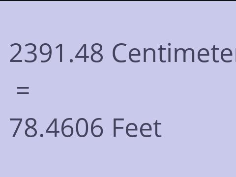 2391.48 CM TO FEET