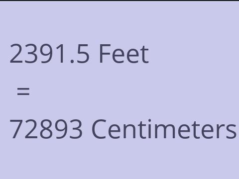 2391.5 FEET TO CM