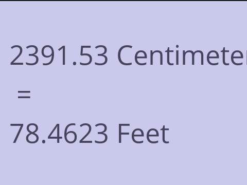 2391.53 CM TO FEET
