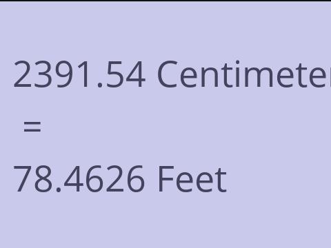 2391.54 CM TO FEET