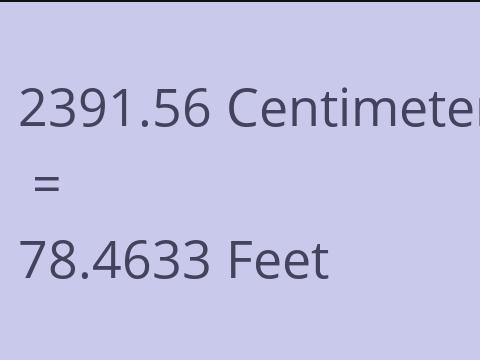 2391.56 CM TO FEET