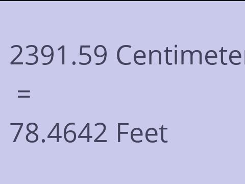 2391.59 CM TO FEET