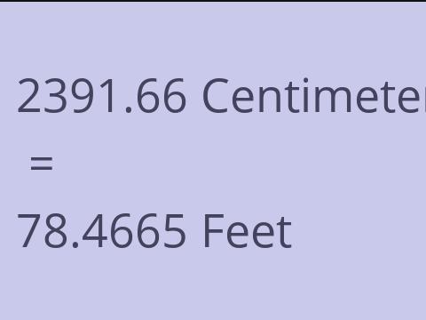 2391.66 CM TO FEET