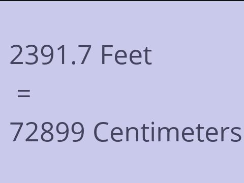 2391.7 FEET TO CM