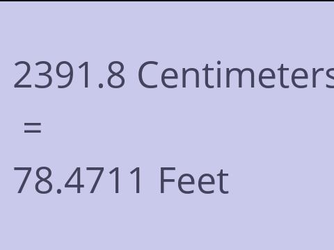 2391.8 CM TO FEET