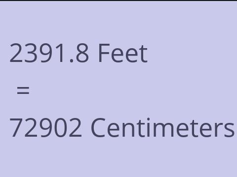 2391.8 FEET TO CM