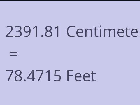 2391.81 CM TO FEET