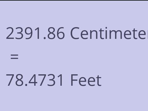 2391.86 CM TO FEET