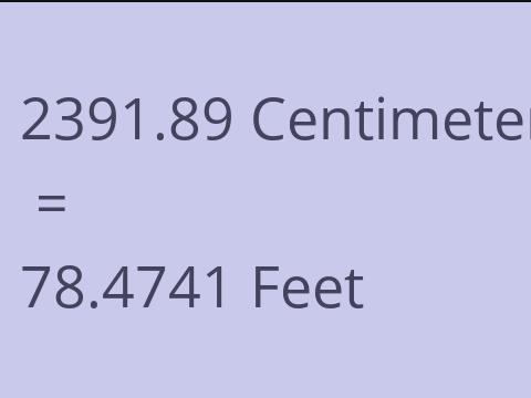 2391.89 CM TO FEET