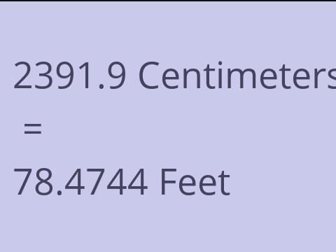 2391.9 CM TO FEET