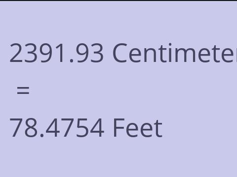 2391.93 CM TO FEET