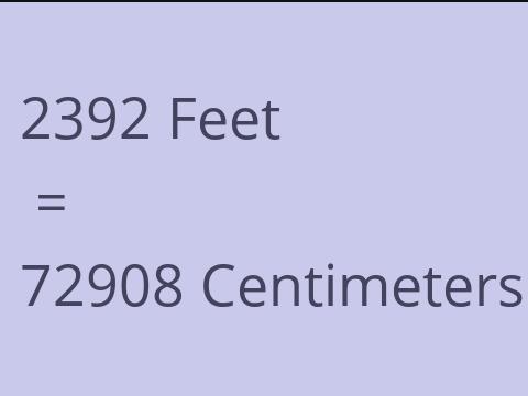 2392 FEET TO CM