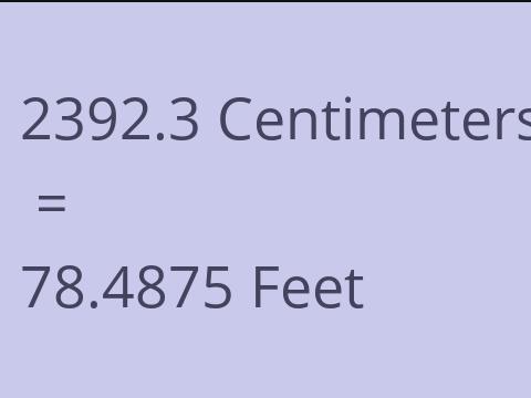 2392.3 CM TO FEET