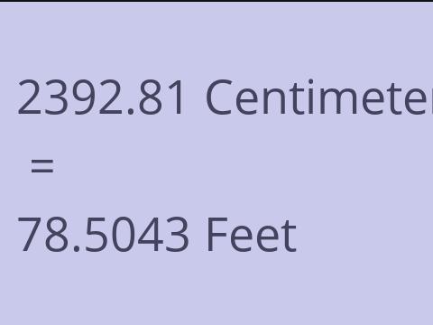 2392.81 CM TO FEET