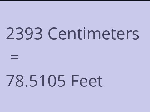 2393 CM TO FEET