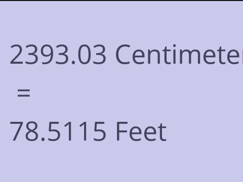 2393.03 CM TO FEET
